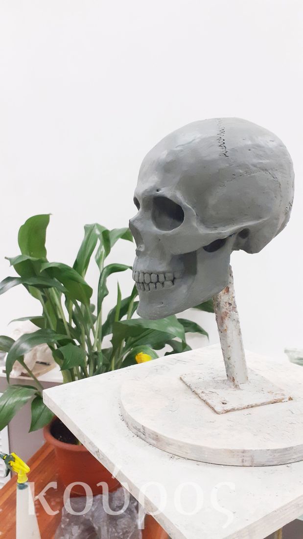 Лепка черепа, курсы лепки для взрослых, скульптура - Студия Курос Санкт-Петербург