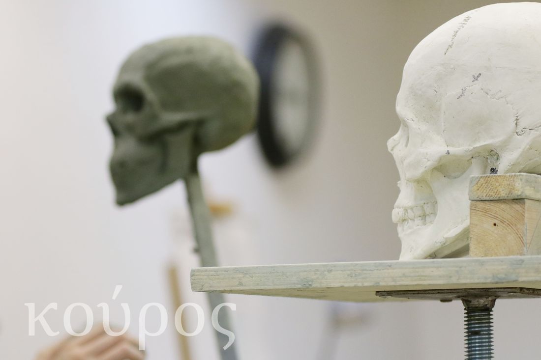 Лепка черепа, уроки скульптуры - Студия Курос в Санкт-Петербурге